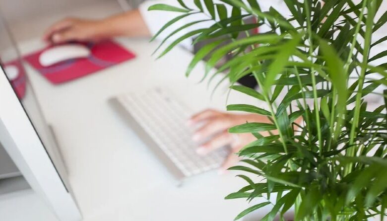 Servicios Efectivos para Satisfacer las Necesidades Empresariales de Tu Negocio