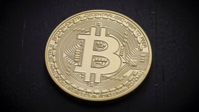 Ballenas del Bitcoin: Entiende su Impacto en el Mercado de Criptomonedas