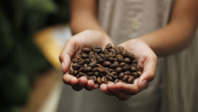 Nuevas Cafeteras SOLO Caffè: Descubre las Innovaciones que Transformarán tu Experiencia de Café