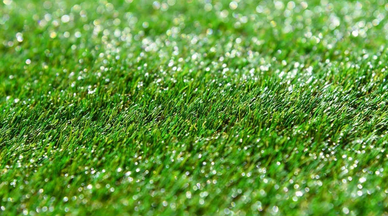 Causas del auge del césped artificial en el paisaje moderno