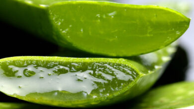 Guía Definitiva para Consumir Aloe Vera: Beneficios y Formas Efectivas