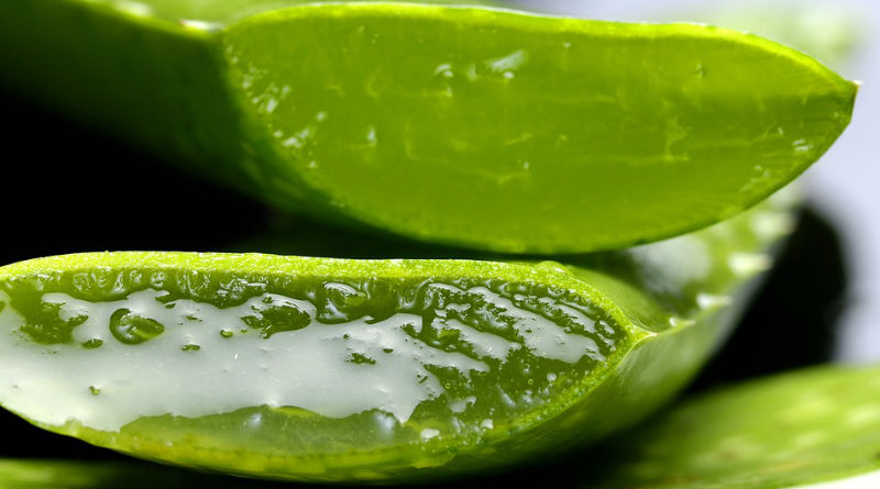 Guía Definitiva para Consumir Aloe Vera: Beneficios y Formas Efectivas