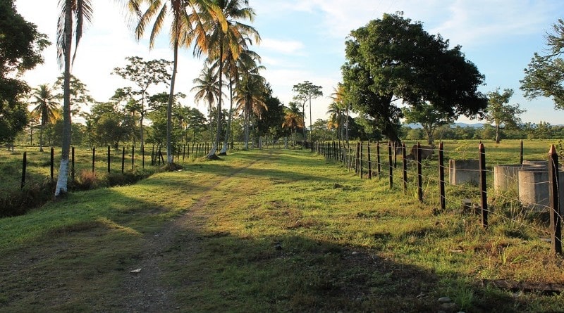Guía completa para comprar una finca de calidad: consejos y recomendaciones esenciales