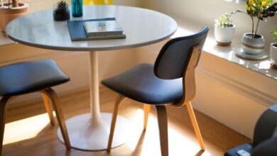 Ideas Efectivas para Decorar el Hogar o la Oficina con Plantas y Crear Ambientes Acogedores