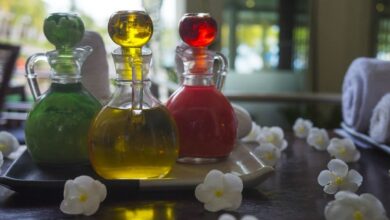 Los Mejores Perfumes de Mujer: Guía Definitiva para Elegir el Aroma Perfecto