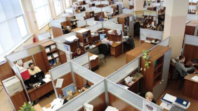 Tendencias en la Demanda de Empleo: Opciones Profesionales Fuera de la Universidad