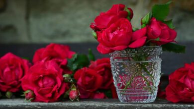 Descubre los Gestos Más Románticos que Superan a una Rosa