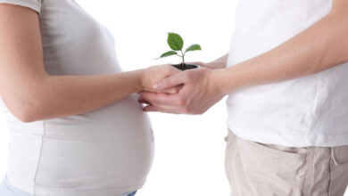 Tratamientos de Fertilidad: El Camino de la Perseverancia hacia la Concepción Exitosa