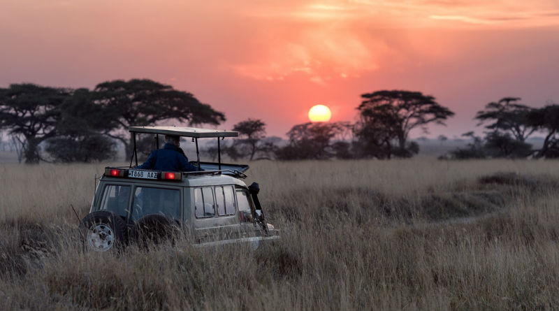 Safari en Tanzania y Kenia: Descubre la Aventura de Tu Vida en la Fauna Africana