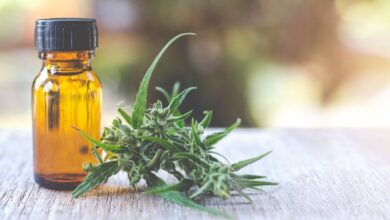 Beneficios del Aceite de CBD: Todo lo que Necesitas Saber para Mejorar tu Bienestar