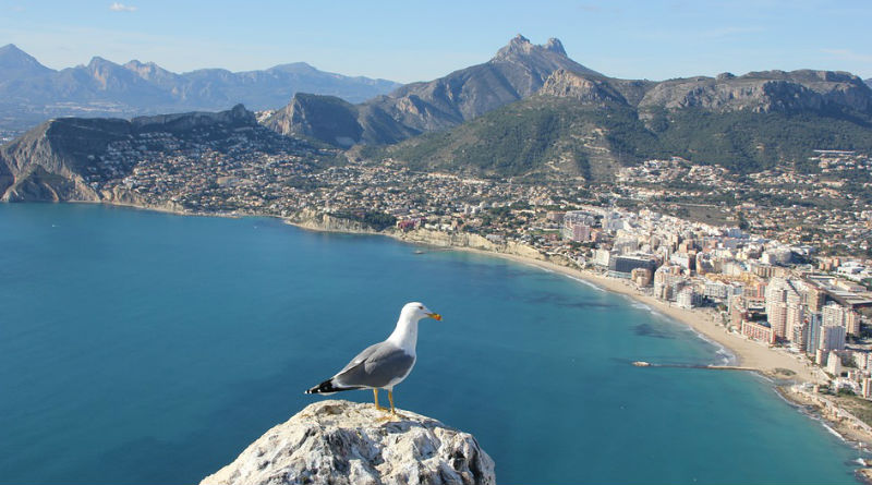 Guía Definitiva para Disfrutar de la Costa Blanca: Actividades, Lugares y Consejos Todo el Año