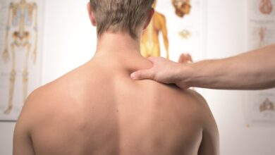 Fisioterapia: Guía Completa para Comprenderla y Abrir tu Propia Clínica en 2026 Fisioterapia: Guía Completa para Comprenderla y Abrir tu Propia Clínica en 2026