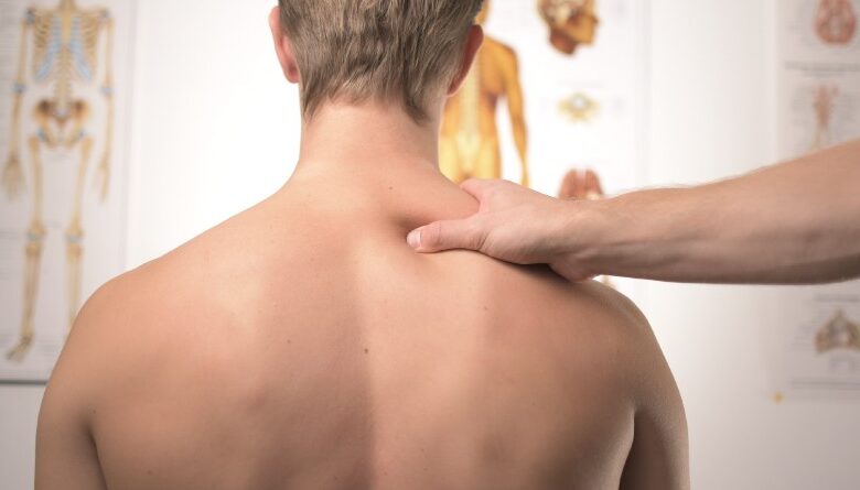 Fisioterapia: Guía Completa para Comprenderla y Abrir tu Propia Clínica en 2026
