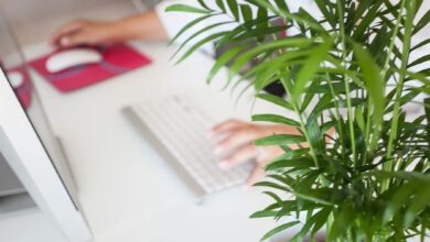 Servicios Efectivos para Satisfacer las Necesidades Empresariales de Tu Negocio Servicios Efectivos para Satisfacer las Necesidades Empresariales de Tu Negocio