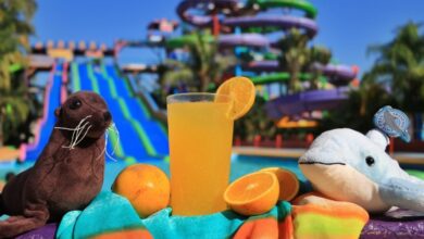 Aventuras y Atracciones Acuáticas Imperdibles en Puerto Vallarta Aventuras y Atracciones Acuáticas Imperdibles en Puerto Vallarta