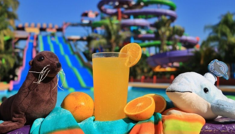 Aventuras y Atracciones Acuáticas Imperdibles en Puerto Vallarta