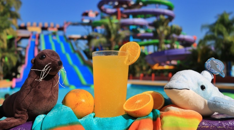 Aventuras y Atracciones Acuáticas Imperdibles en Puerto Vallarta