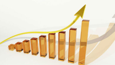 1K Daily Profit: Genera Ingresos Pasivos Mientras Duermes con Esta Estrategia Automatizada 1K Daily Profit: Genera Ingresos Pasivos Mientras Duermes con Esta Estrategia Automatizada