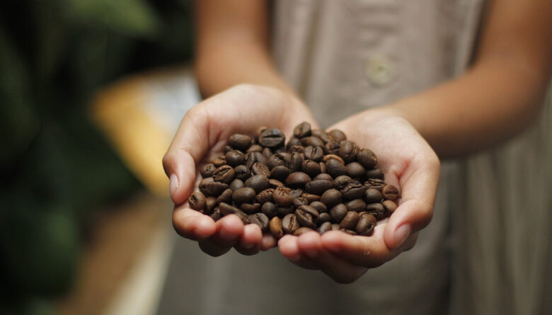 Nuevas Cafeteras SOLO Caffè: Descubre las Innovaciones que Transformarán tu Experiencia de Café