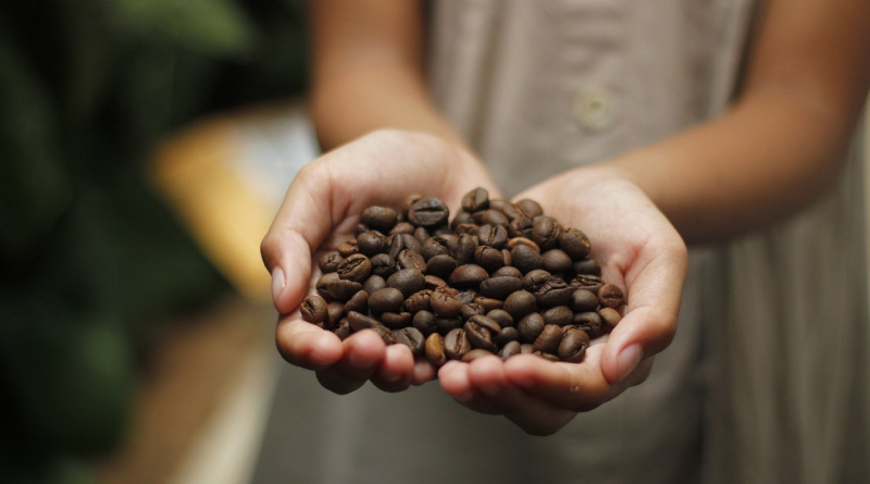 Nuevas Cafeteras SOLO Caffè: Descubre las Innovaciones que Transformarán tu Experiencia de Café Nuevas Cafeteras SOLO Caffè: Descubre las Innovaciones que Transformarán tu Experiencia de Café