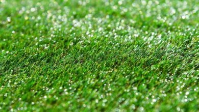 Causas del auge del césped artificial en el paisaje moderno