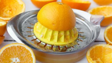 Guía Definitiva para Elegir el Mejor Exprimidor de Naranjas en 2026 Guía Definitiva para Elegir el Mejor Exprimidor de Naranjas en 2026