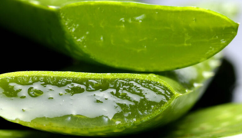 Guía Definitiva para Consumir Aloe Vera: Beneficios y Formas Efectivas