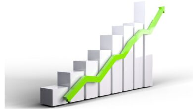 Consejos Efectivos para Impulsar el Crecimiento Sostenible de tu Negocio Consejos Efectivos para Impulsar el Crecimiento Sostenible de tu Negocio