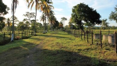 Guía completa para comprar una finca de calidad: consejos y recomendaciones esenciales