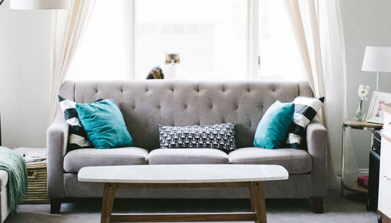 Guía completa para elegir el sofá ideal para tu hogar en cualquier momento