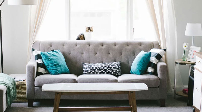 Guía completa para elegir el sofá ideal para tu hogar en cualquier momento