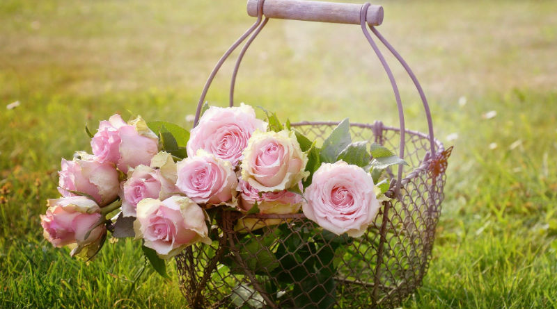 Aumento de la Demanda de Flores a Domicilio en Madrid: Tendencias y Beneficios para los Compradores Aumento de la Demanda de Flores a Domicilio en Madrid: Tendencias y Beneficios para los Compradores