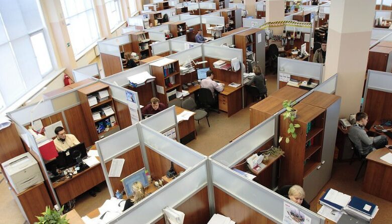 Tendencias en la Demanda de Empleo: Opciones Profesionales Fuera de la Universidad