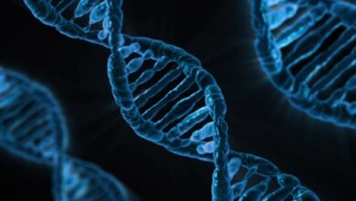 Identificación de Genes Relacionados con el Cáncer por Científicos Españoles: Avances en Investigación Genética