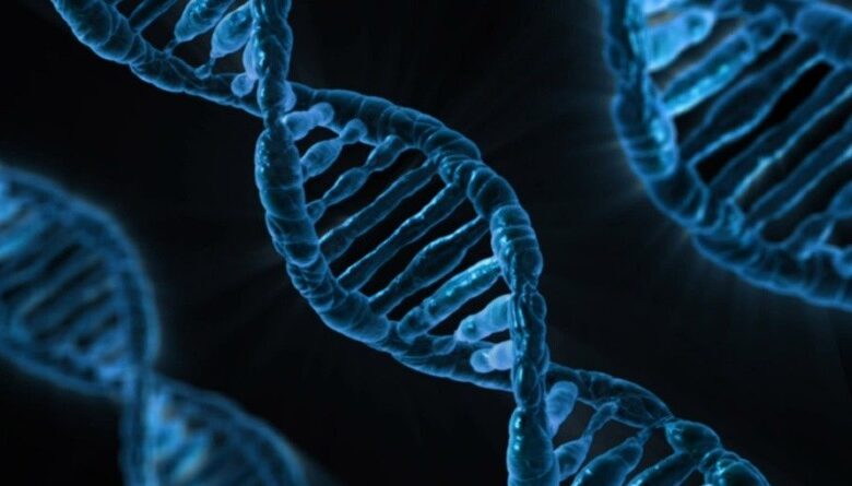 Identificación de Genes Relacionados con el Cáncer por Científicos Españoles: Avances en Investigación Genética