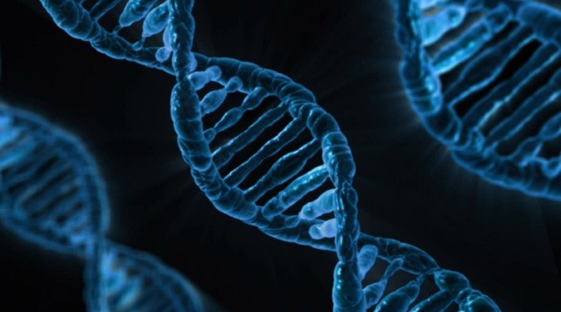 Identificación de Genes Relacionados con el Cáncer por Científicos Españoles: Avances en Investigación Genética