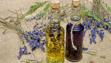 Guía Completa de Homeopatía: Beneficios, Usos y Conceptos Clave para una Salud Natural