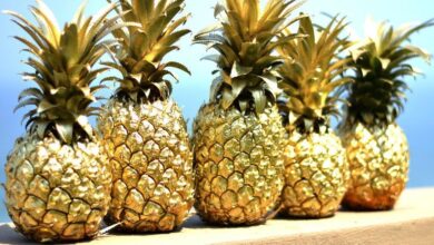 Pros y Contras de la Dieta de la Piña: Guía Completa para 2026 Pros y Contras de la Dieta de la Piña: Guía Completa para 2026
