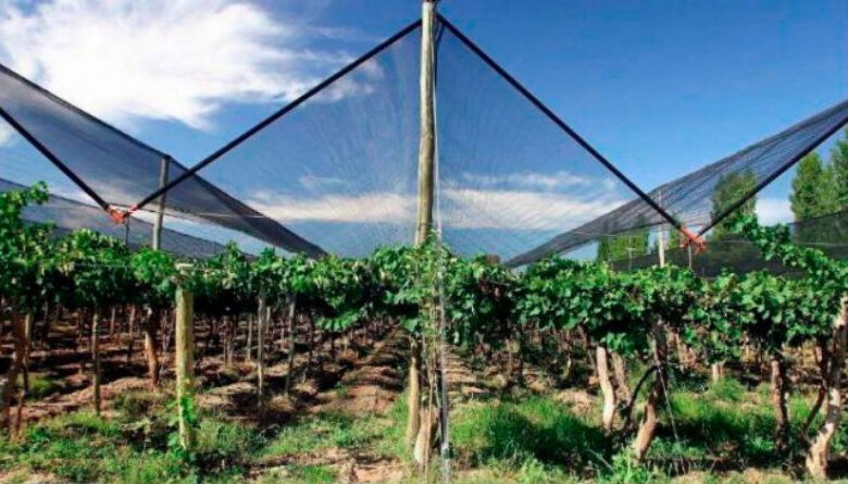 Mallas de Sombrero Efectivas para la Protección de Cultivos en Climas Variados