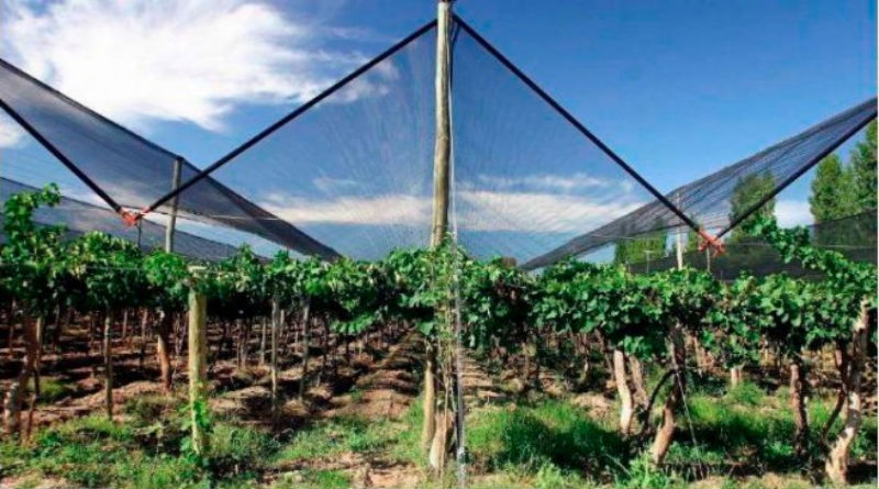 Mallas de Sombrero Efectivas para la Protección de Cultivos en Climas Variados