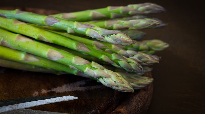 Plantas Comestibles que Promueven una Vida Saludable y Nutritiva