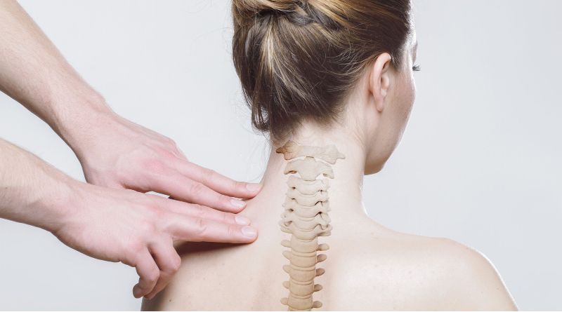 Protege tu Espalda y Previene Problemas de Vértebra para una Vida Saludable Protege tu Espalda y Previene Problemas de Vértebra para una Vida Saludable