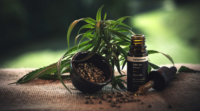 Beneficios del CBD para la Salud: Todo lo que Necesitas Saber sobre esta Sustancia Natural