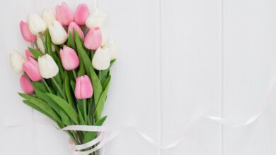 Regala Flores en Cualquier Momento: Una Forma Especial de Sorprender Desde Casa Regala Flores en Cualquier Momento: Una Forma Especial de Sorprender Desde Casa