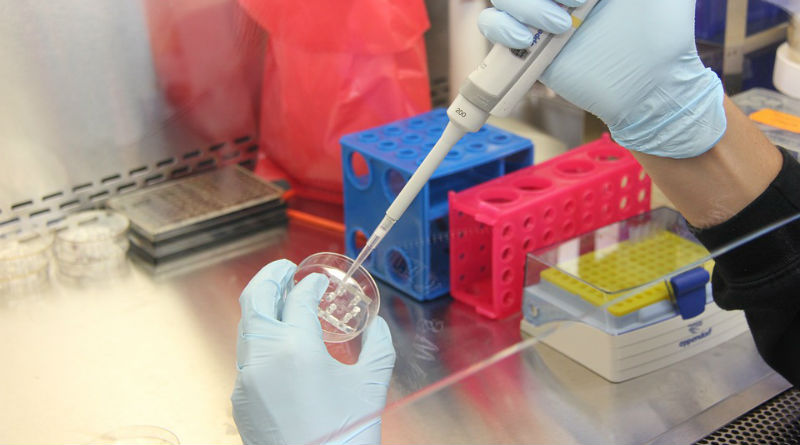 Descubre TellmeGen: El Test Genético Definitivo para Conocer tu Herencia y Salud Descubre TellmeGen: El Test Genético Definitivo para Conocer tu Herencia y Salud