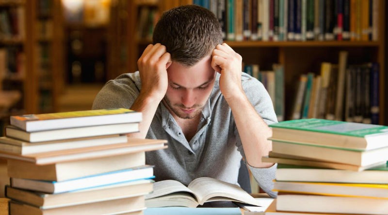 Universidad Internacional de Marbella – Connect&Go: La Mejor Opción para Estudiar en el Extranjero